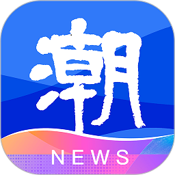 官方网站国际在不同市场的应用案例